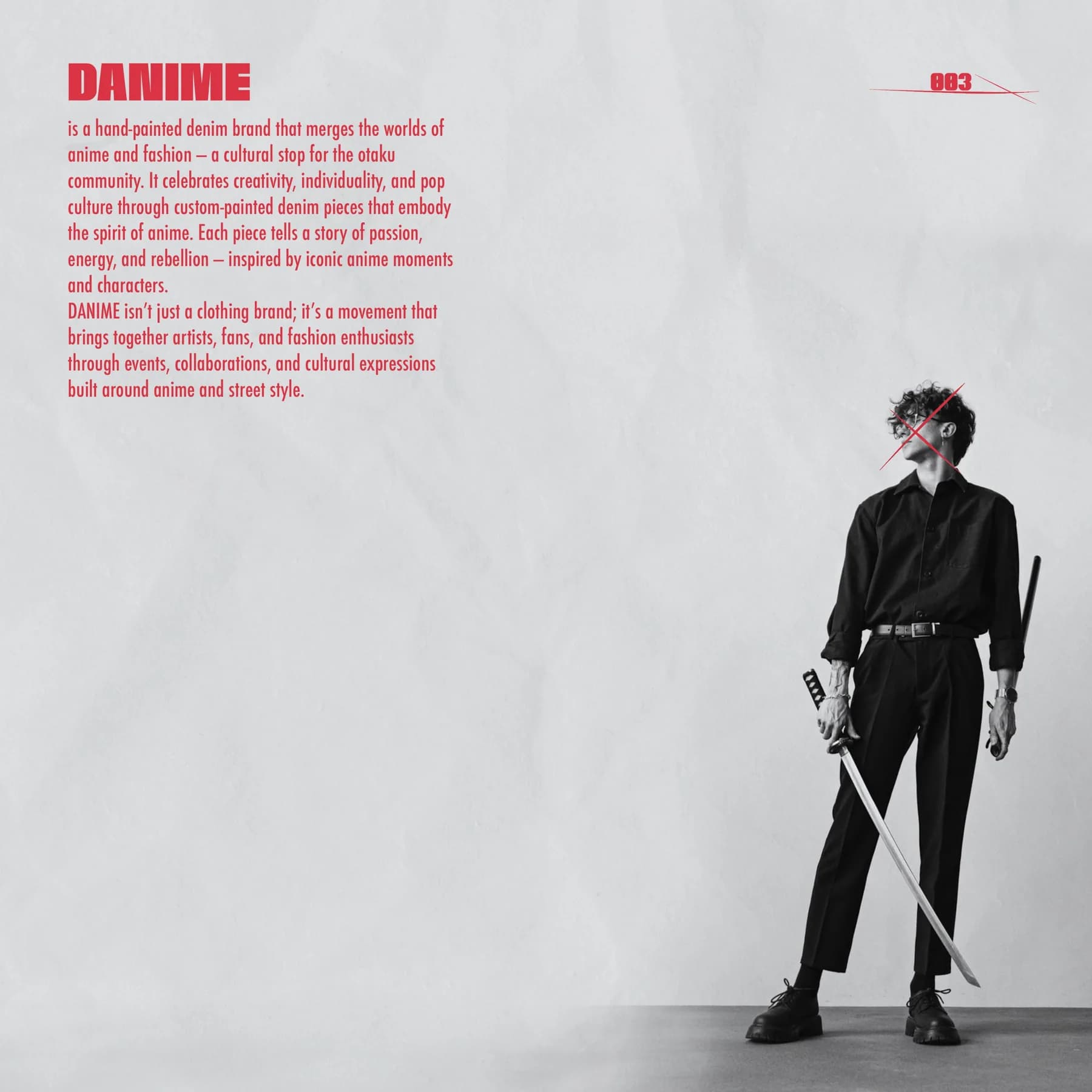 Danime Visual Guidelines, artwork 2