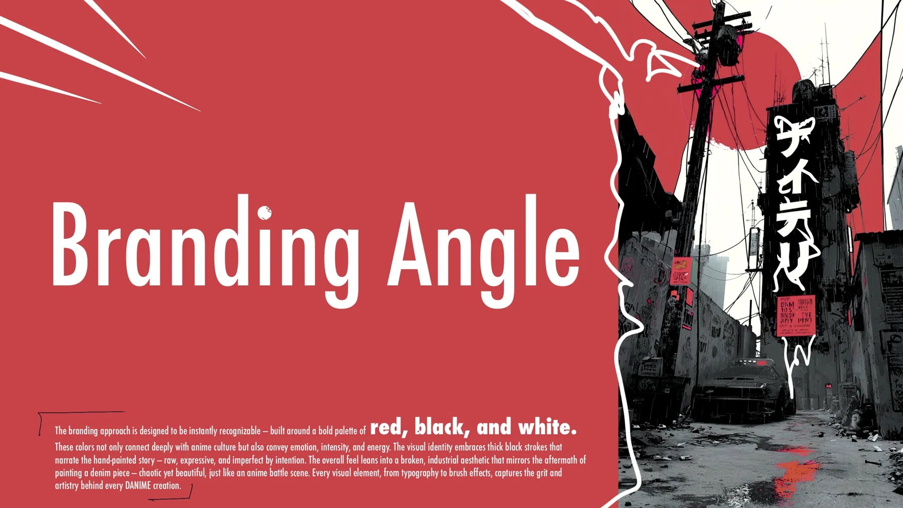 Danime Visual Guidelines, artwork 3